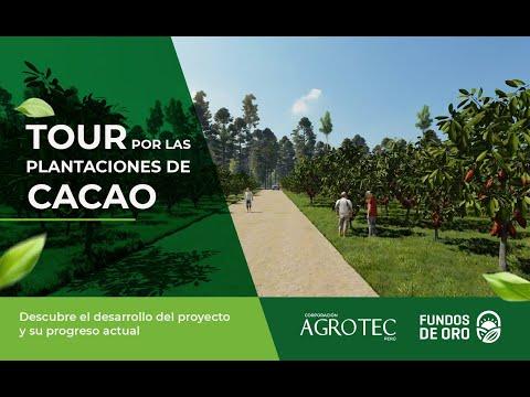 Video Fundos de Oro