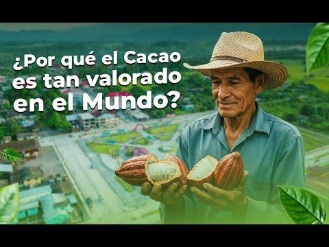 Video Fundos de Oro
